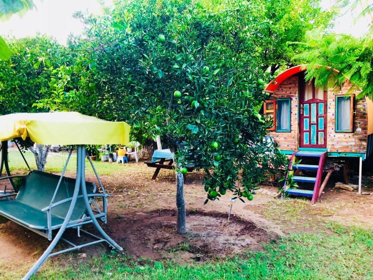 Saba Apart Aparthotel Kemer Ngoại thất bức ảnh